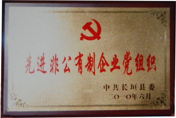 2010年我集團(tuán)被長(zhǎng)垣縣委評(píng)為民營(yíng)企業(yè)黨建先進(jìn)單位